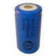 Pila NiCD D 4000 mAh Cabeza plana - 1,2V - Evergreen